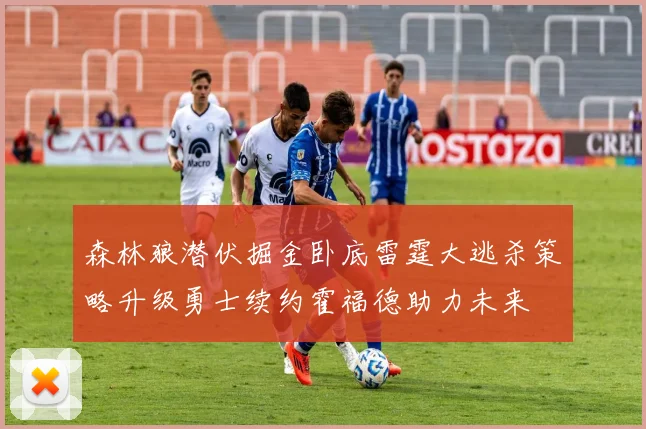 森林狼潜伏掘金卧底雷霆大逃杀策略升级勇士续约霍福德助力未来