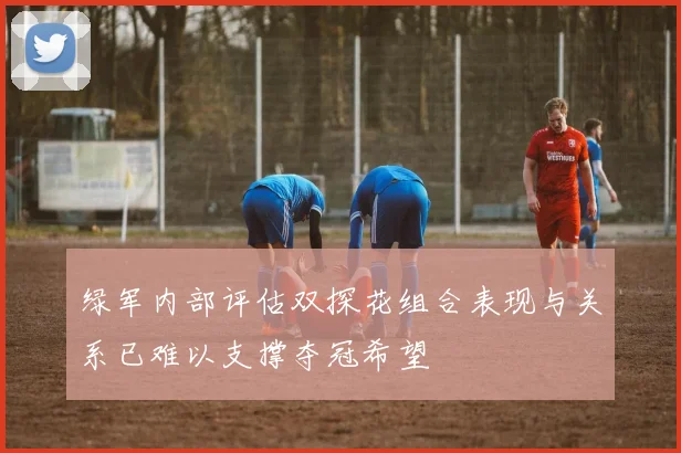 绿军内部评估双探花组合表现与关系已难以支撑夺冠希望