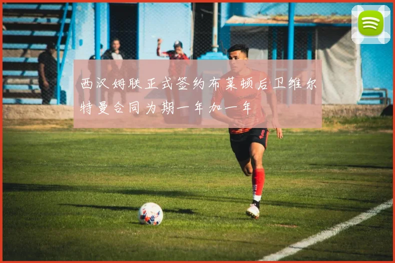 西汉姆联正式签约布莱顿后卫维尔特曼合同为期一年加一年