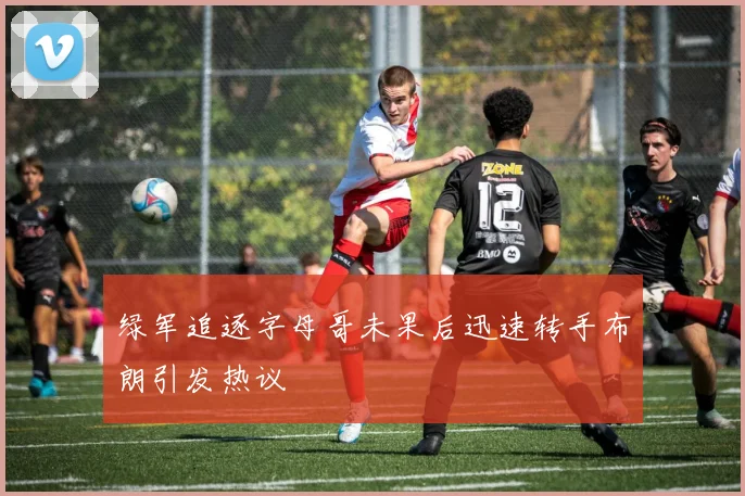 绿军追逐字母哥未果后迅速转手布朗引发热议